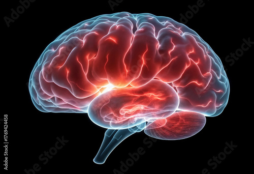 3d rendered illustration of a brain