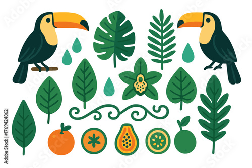 Exotic jungle elements collection featuring colorful toucans, lush green leaves, and tropical fruits