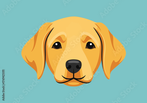 Close-up vector illustration of a cute golden retriever puppy's head with a friendly expression on a teal background.