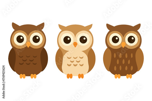 Adorable trio of stylized brown owls with large eyes standing on a white background