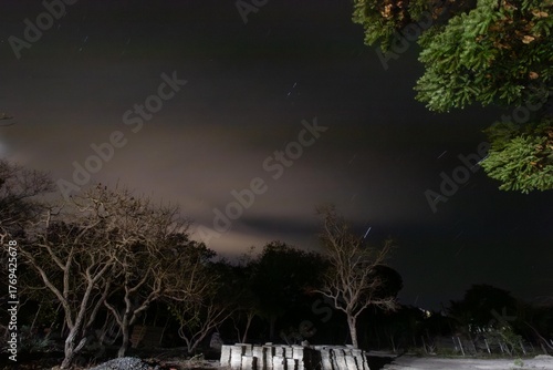 Beautiful afternoon twilight in a rural area