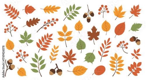 Vibrant collection of colorful autumn leaves, red berries, and acorns, featuring diverse fall foliage on a clean white background.