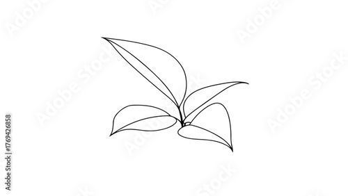 Simple line drawing of a plant with leaves