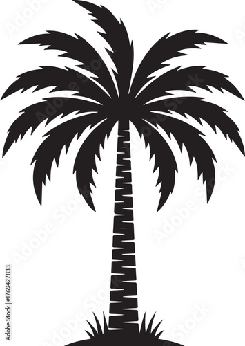 Silhouette of Tall Palm Tree Against Transparent Backdrop Evoking Coastal Allure Tall Palm Tree Leaves Design Element
