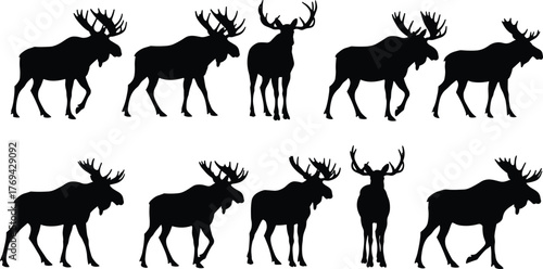Set of black moose silhouettes in side profile view, isolated vector icons for wildlife design, nature illustration, and pattern use.