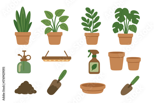 Set of potted indoor house plants and essential gardening tools for home cultivation