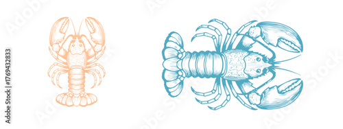 Lobster drawing vector apparel clothing T shirt design. Download it now in high resolution format. Elegant Vector Illustration for Seafood, Coastal, and Nautical Themes