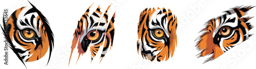 Set of Tiger eye vector graphic.