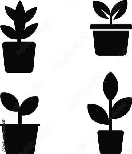 Set of four simple black silhouette potted plant icons showing growth stages