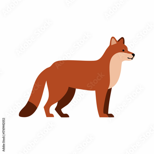 Stylized vector illustration of a standing red fox with a bushy tail