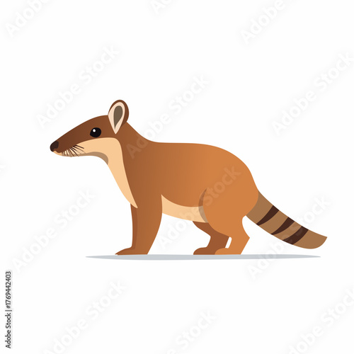 Coati standing illustration on white plain background wildlife mammal animal artwork