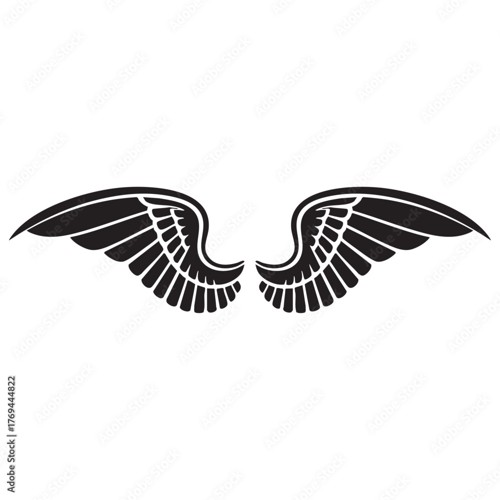 Fototapeta premium Vector of bird angel wings on a white background. Thick line 