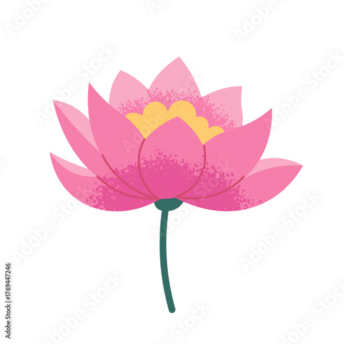 Pink lotus on white background. Traditional oriental flower, plant of wisdom. Vector flat botanical element