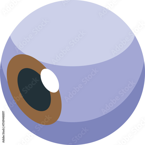 Brown iris and pupil contracting and dilating, controlling light entering eye, facilitating vision