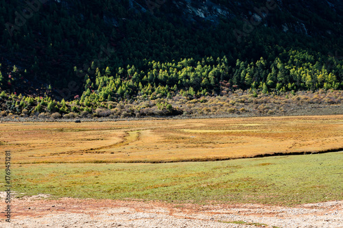 Autumn valley meadow stream scenery