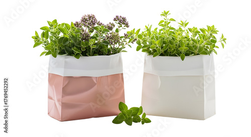 Fresh herbs in modern reusable paper bags including oregano and thyme, perfect for home gardening or kitchen use