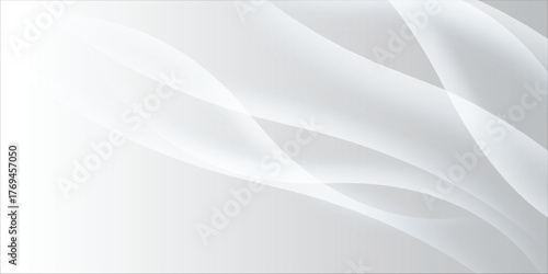 gray and white abstract background modern vector illustration