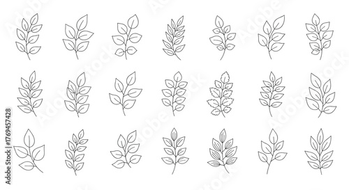 Collection of minimalist sketchy line art leaf branches, perfect as botanical design elements and decorative accents.