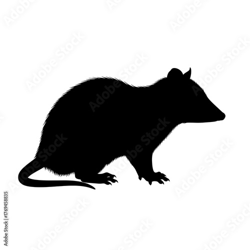 Striking silhouette of a possum, perfect for nature illustrations, wildlife conservation projects, or educational resources, evokes mystery and intrigue