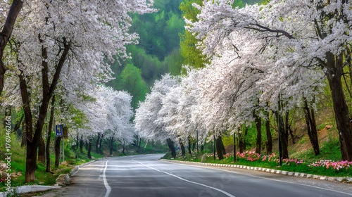 Wallpaper Mural Winding road through blooming cherry blossom trees in spring, showing beautiful nature landscape and green mountains Torontodigital.ca