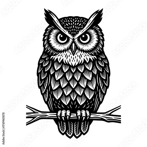 Majestic owl perching on a branch in elegant black and white design, ideal for nature themes, branding, and sophisticated projects with vintage flair