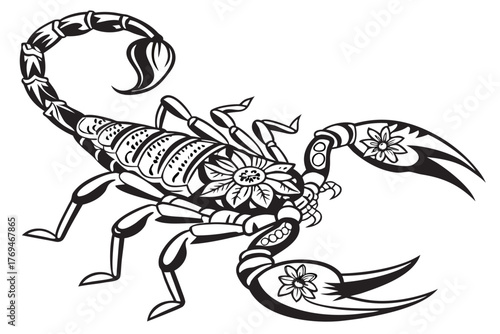 scorpion on white background