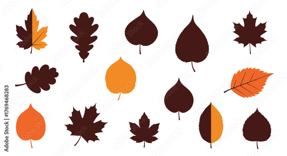Obraz premium A collection of diverse autumn leaves in various shades of brown and orange, showcasing the beauty of the fall season.