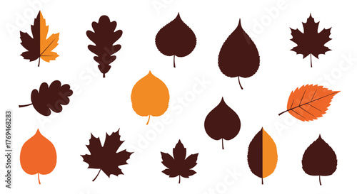 A collection of diverse autumn leaves in various shades of brown and orange, showcasing the beauty of the fall season.