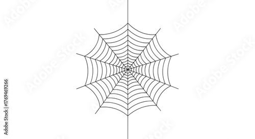 A symmetrical, black line art spider web, centrally placed against a white background, hanging from a single strand.