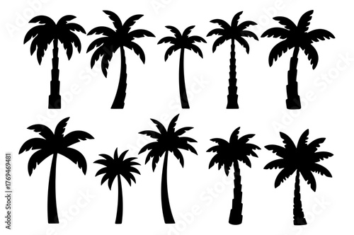 Set of ten black palm tree silhouettes, a collection of tropical trees vector illustration isolated on a transparent background