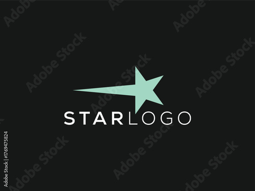 Minimal and professional star Logo design