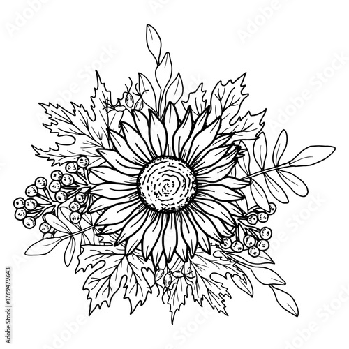 Sunflower flower with rose hips, rowan berries and maple leaves. Vector illustration of a botanical composition. Hand drawn black graphics. Line art for coloring books, botanical designs, packaging