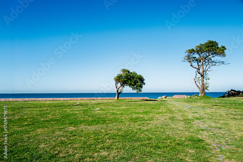 Scenic coastal landscape with trees, green grass, and a bright blue sky