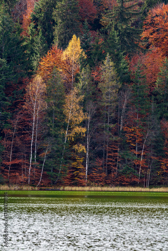 Autumn at Saint Ana Lake. Transylvania, Romania, Europe.