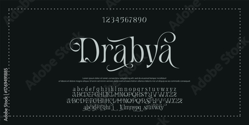 Elegant Font Uppercase Lowercase and Number. Classic Lettering Minimal Fashion Designs. Typography modern serif fonts regular decorative vintage concept. vector illustration