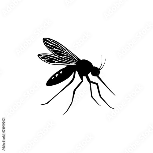 Mosquito silhouette with detailed wings – realistic pest  vector with white background 
