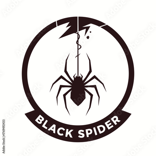 Black spider on a web icon,