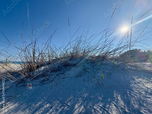 reeds on the beach in sardegna 