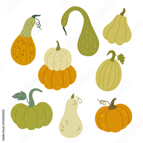 vector set of pumpkins