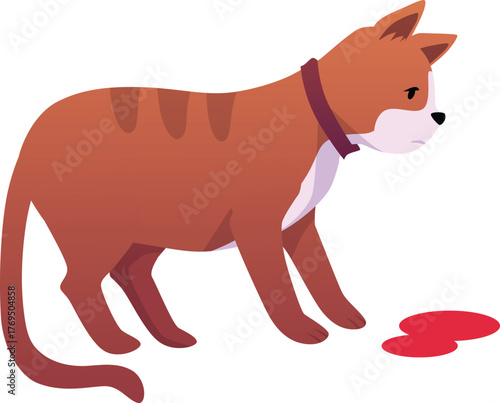 Cartoon sick cat with blood, hurt injured animal pet, vector wounded brown kitten, veterinarian treatment, health care