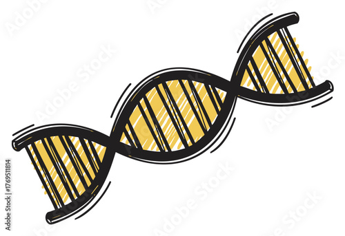 Black and yellow simple hand-drawn vector sketch of a double helix dna strand with striped pattern details.