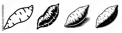 sweet potato vector illustration set with outline, engraved and silhouette, icons for food and agriculture
