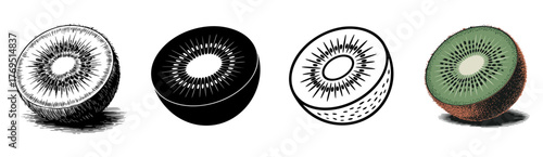 set of slice kiwi fruit vector illustrations, for healthy food and tropical concepts
