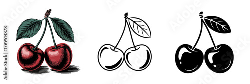 set of vintage cherry vector illustrations, black and white fruit with outline and silhouette
