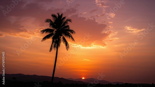 Thailand, Sky, Palm Tree, Sunset, Silhouette