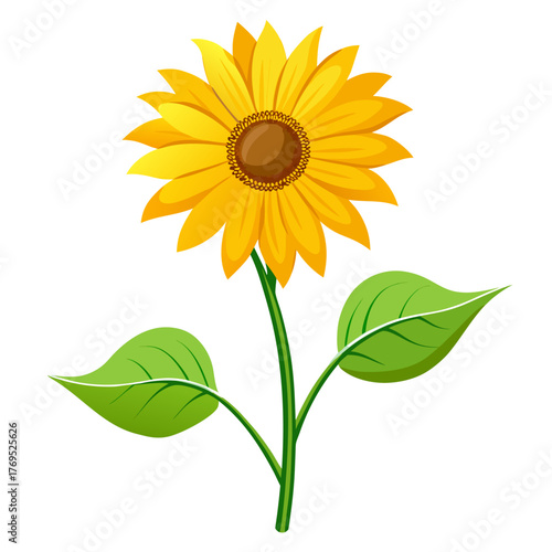 helianthus tuberosus flower vector isolated on white background