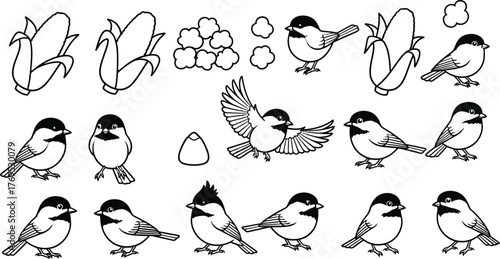 Cartoon chickadees with corn and popcorn on a white background image
