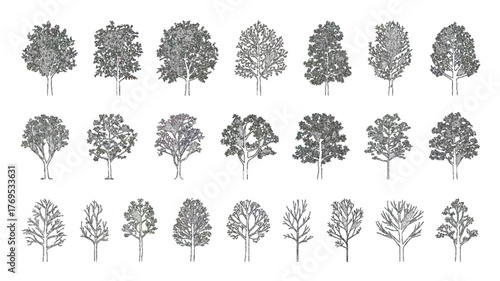 Bare Deciduous Tree Contours Vector Set, Leafless Trees Silhouettes for Design and Seasonal Illustrations