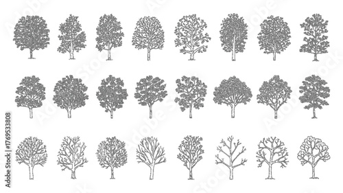 Bare Deciduous Tree Contours Vector Set, Leafless Trees Silhouettes for Design and Seasonal Illustrations
