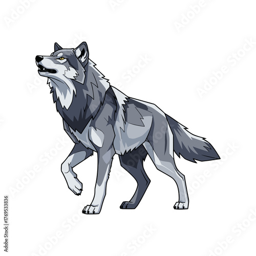 wolf isolated on white background
